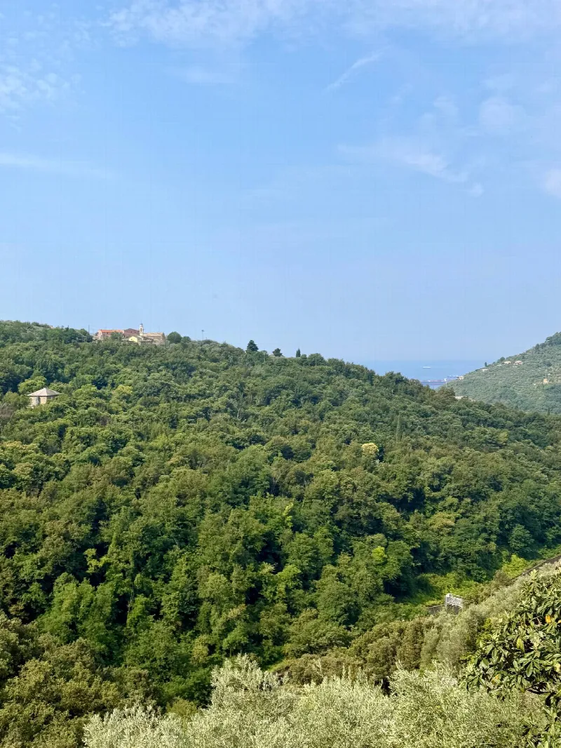 Casa Indipendente in vendita a Sori - foto 10
