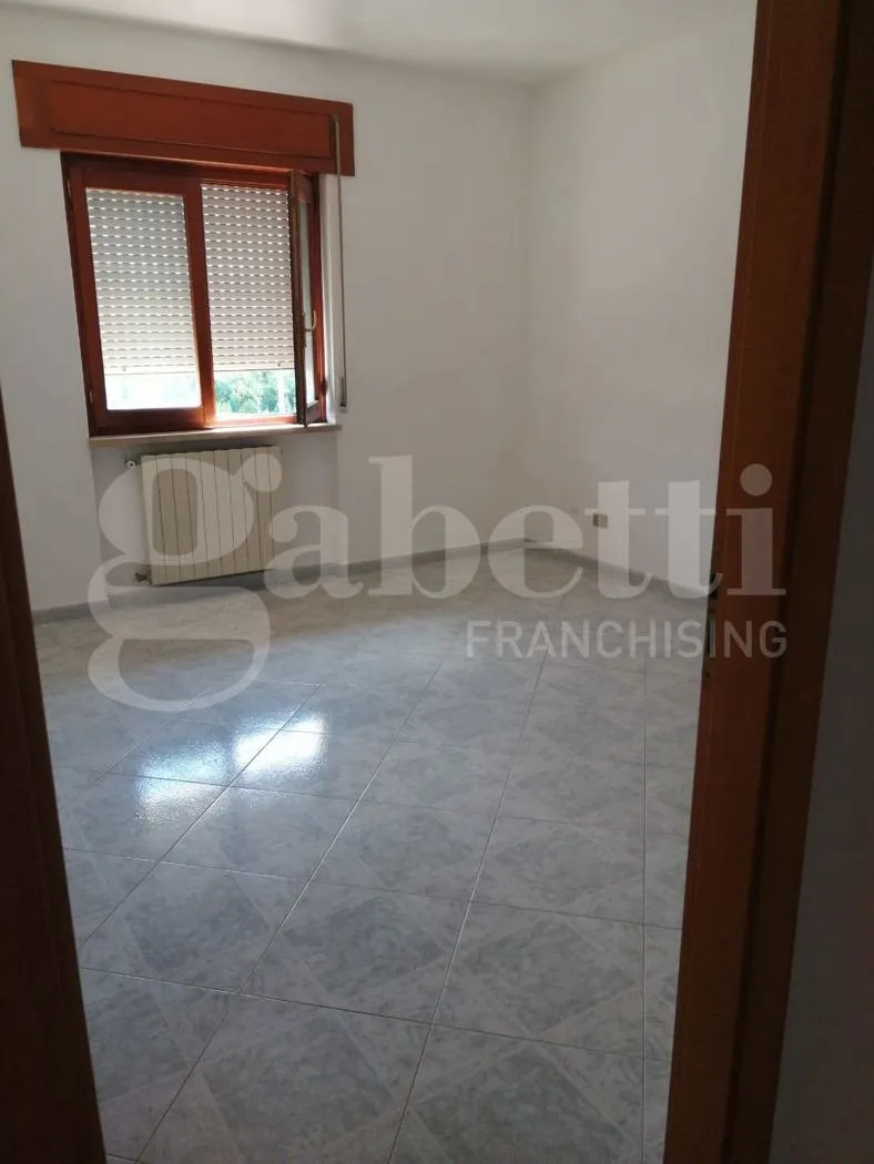 Appartamento in vendita a Belvedere Marittimo - foto 6