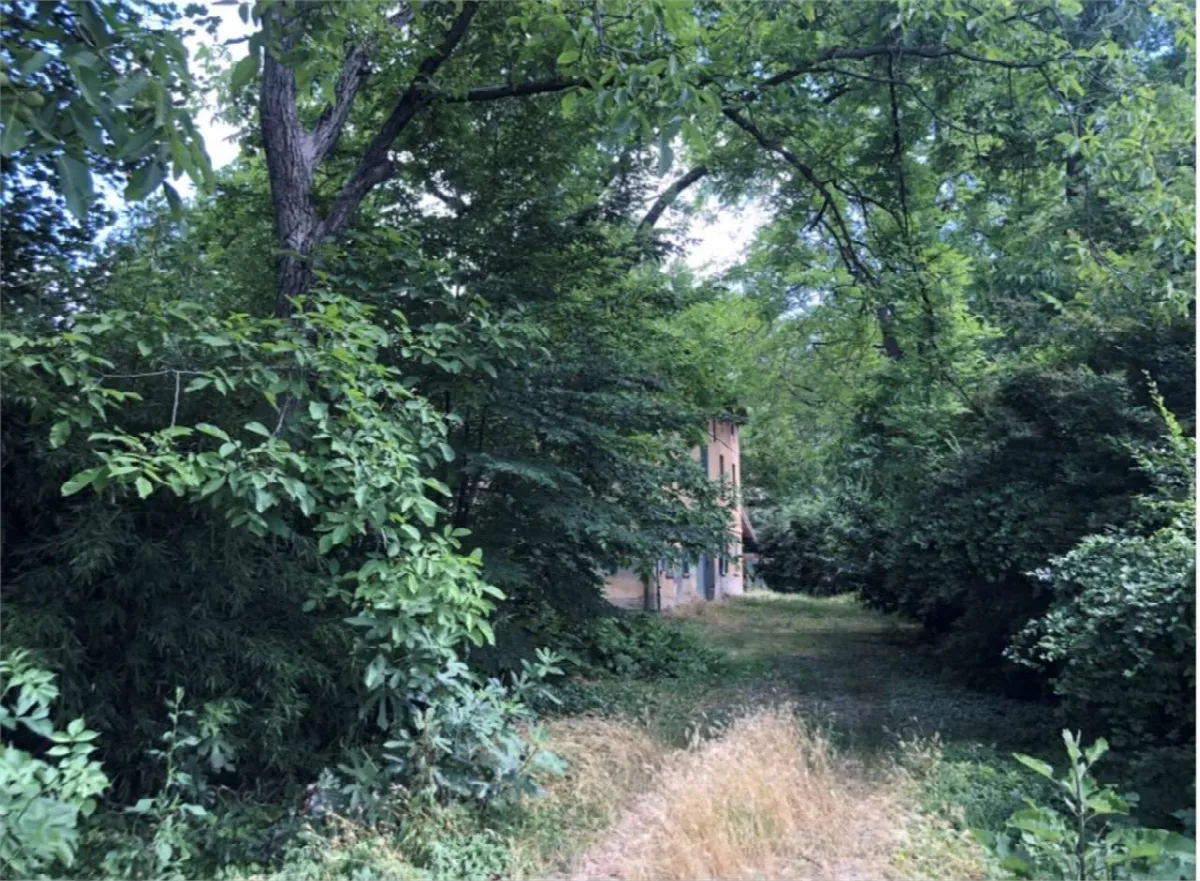 Palazzo/Stabile in vendita a Correggio - foto 4