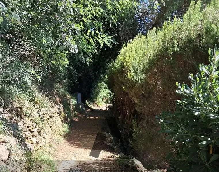 Rustico/Casale in vendita a Santa Margherita Ligure, Bruscè, Selvaggio, Pianetti - foto 5