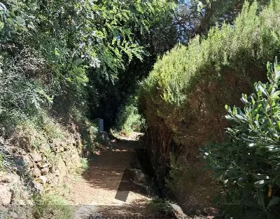 Rustico/Casale in vendita a Santa Margheri... - foto 5
