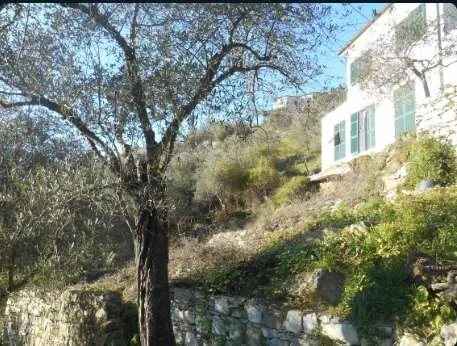 Villa in vendita a Leivi - foto 1