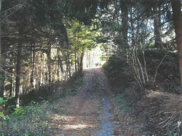 Rustico/Casale in vendita a Calizzano - foto 3