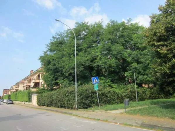 Appartamento in vendita a Abbiategrasso - foto 4