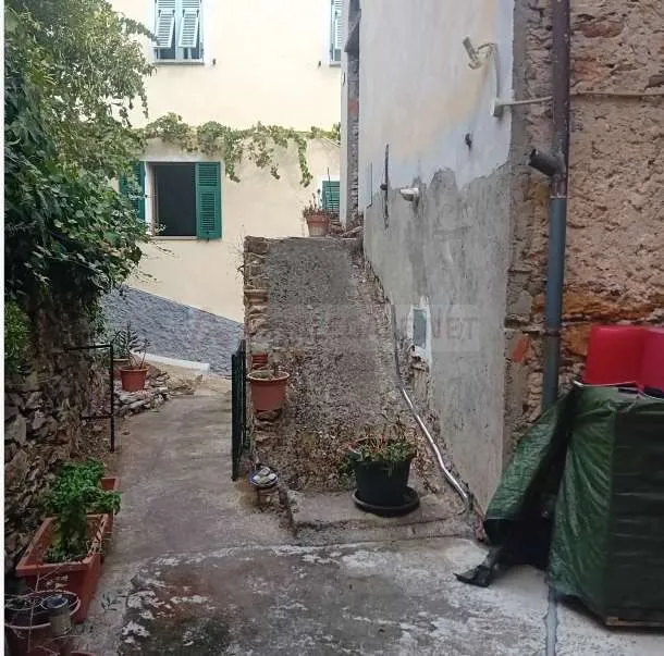 Rustico/Casale in vendita a Dolcedo - foto 1