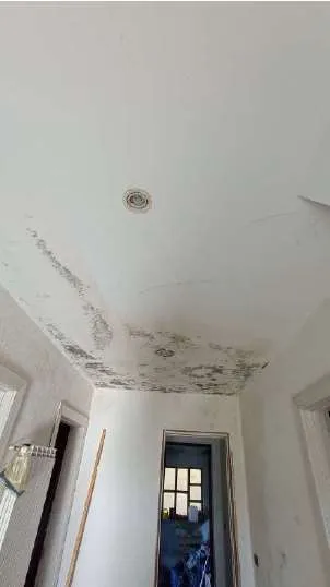 Rustico/Casale in vendita a Giusvalla - foto 8