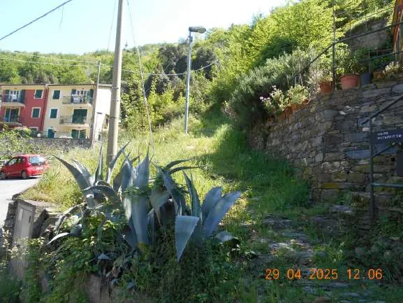 Appartamento in vendita a Avegno - foto 2