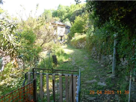 Appartamento in vendita a Avegno - foto 5