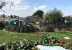 Villetta a schiera in vendita a Zagarolo - foto 9