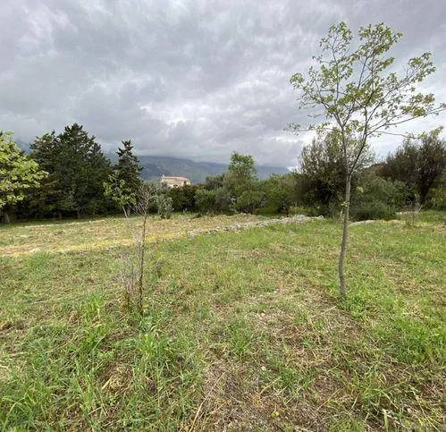 Rustico/Casale in vendita a Carini - foto 10