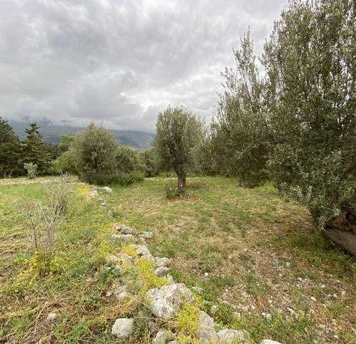 Rustico/Casale in vendita a Carini - foto 6