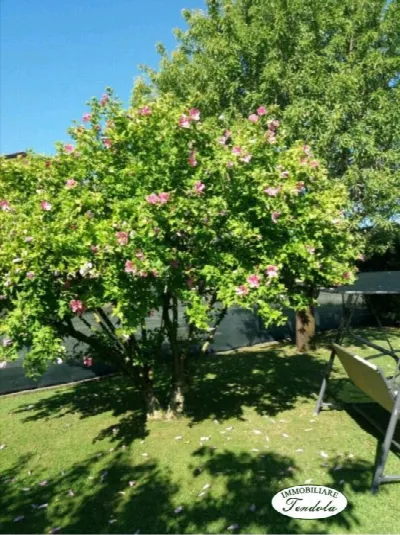 Rustico/Casale in vendita a Sarzana - foto 2