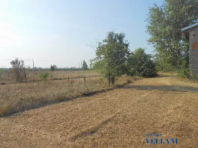 Rustico/Casale in vendita a Carpi - foto 2