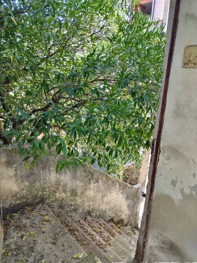 Appartamento in vendita a Roccagloriosa - foto 6