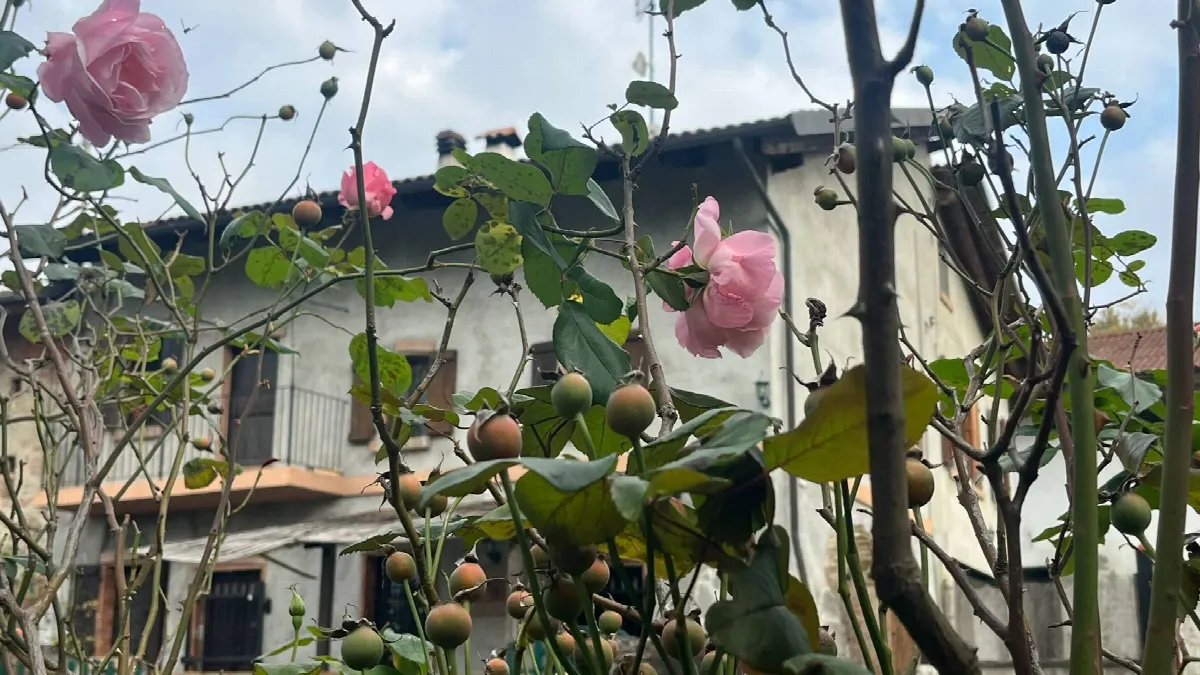 Rustico/Casale in vendita a Robella - foto 4