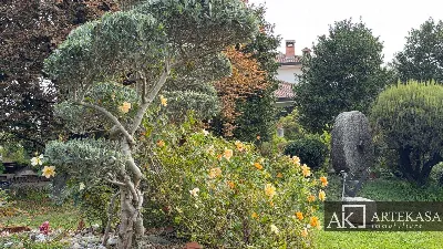 Casa Indipendente in vendita a Pombia - foto 5