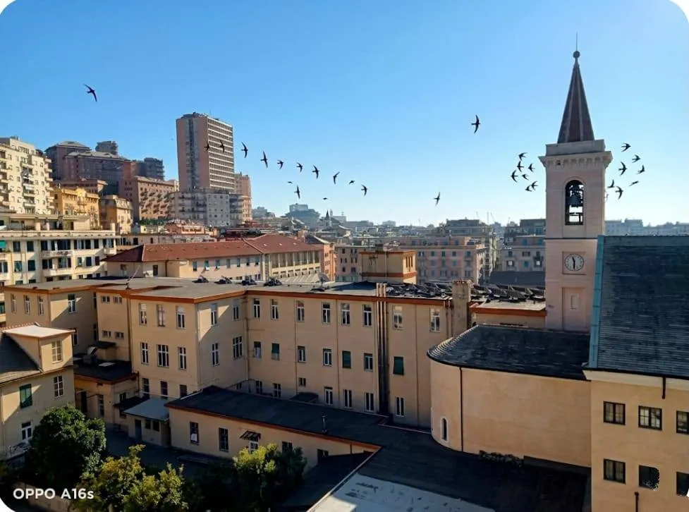 Appartamento in vendita a Genova, Sampierdarena, Belvedere, Cornigliano - foto 2
