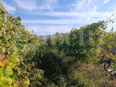 Casa Indipendente in vendita a Giugliano i... - foto 10