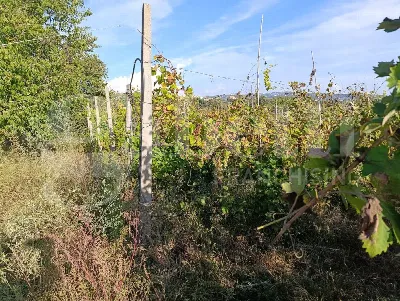 Casa Indipendente in vendita a Giugliano i... - foto 9