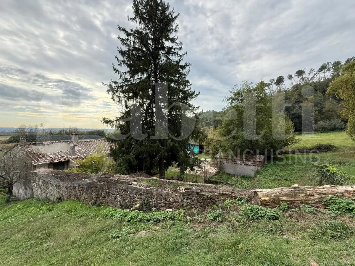 Rustico/Casale in vendita a Buti - foto 3