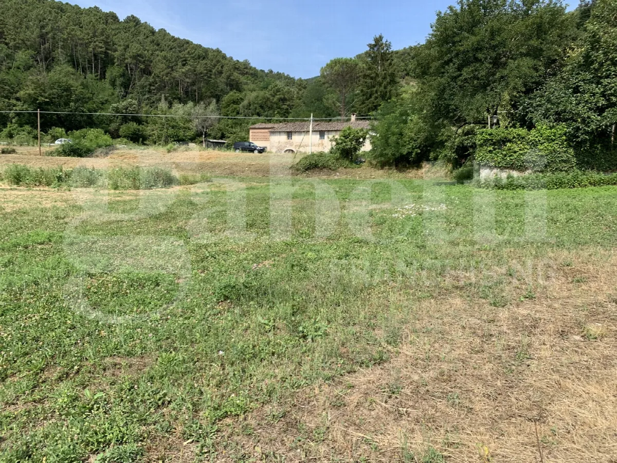 Rustico/Casale in vendita a Buti - foto 4