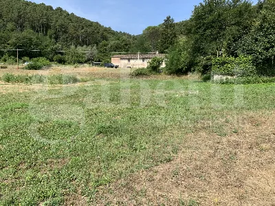 Rustico/Casale in vendita a Buti - foto 4