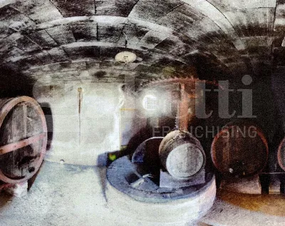Rustico/Casale in vendita a Buti - foto 6