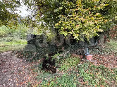 Rustico/Casale in vendita a Buti - foto 6