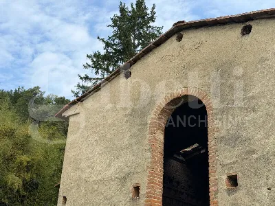 Rustico/Casale in vendita a Buti - foto 8