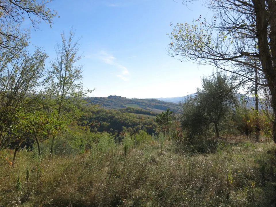 Rustico/Casale in vendita a Umbertide - foto 4