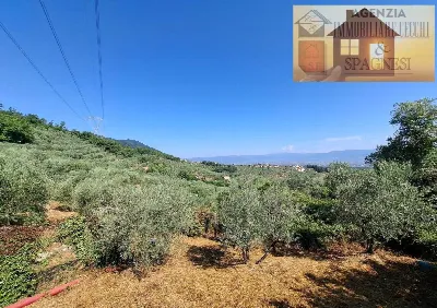 Rustico/Casale in vendita a Quarrata - foto 8