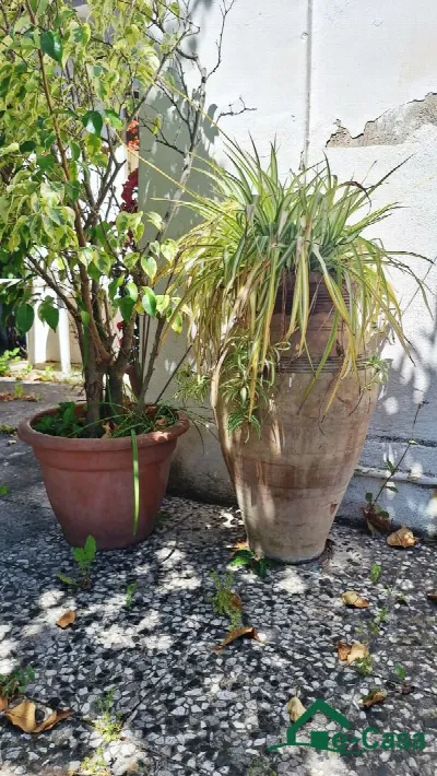 Villa in vendita a Messina, Giampilieri, S... - foto 5