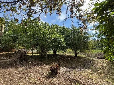 Appartamento in vendita ad Amandola - foto 6
