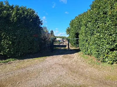 Rustico/Casale in vendita a Marcallo con C... - foto 4