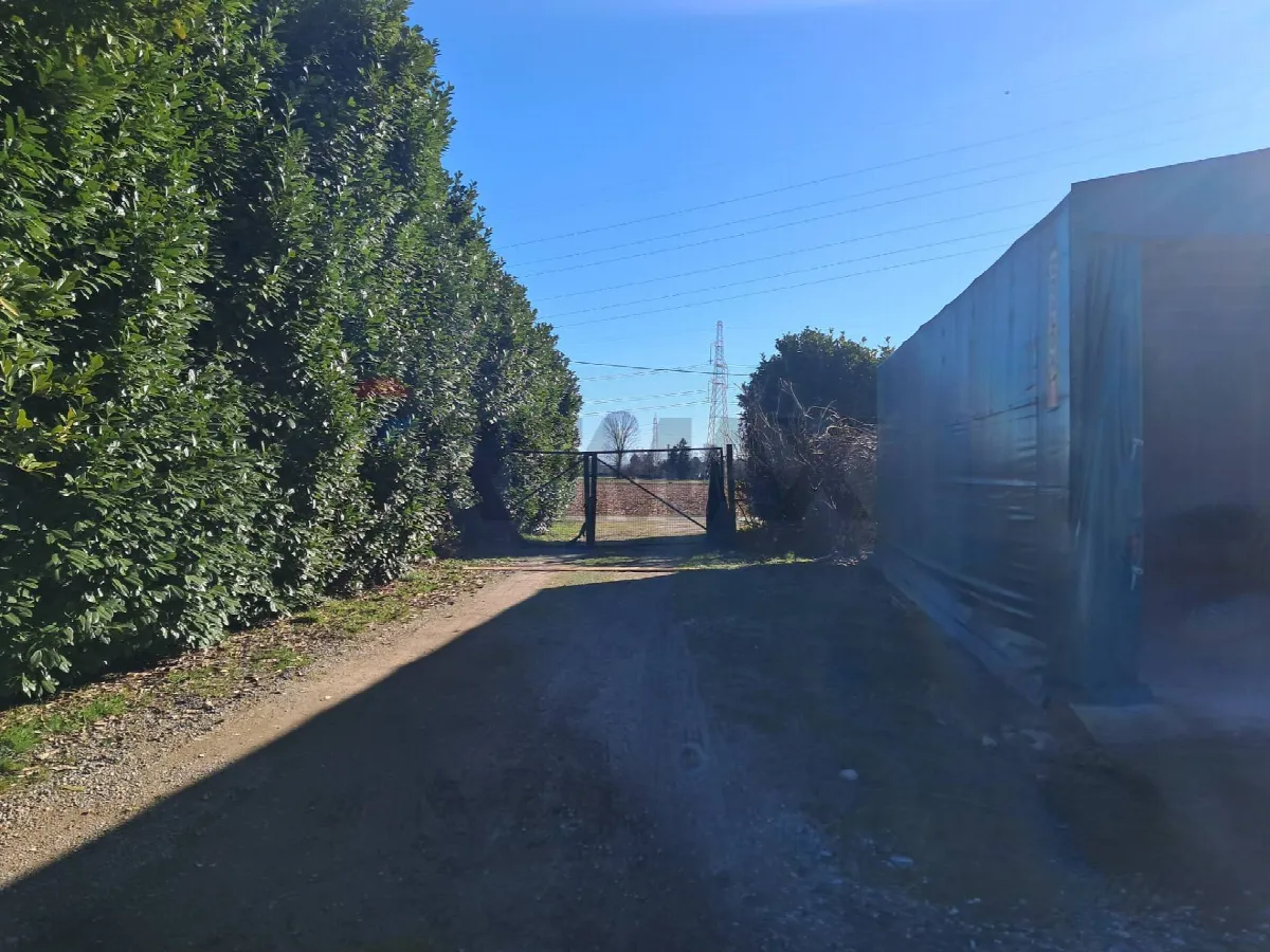 Rustico/Casale in vendita a Marcallo con Casone - foto 5