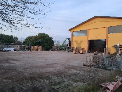 Rustico/Casale in vendita a Marcallo con C... - foto 9