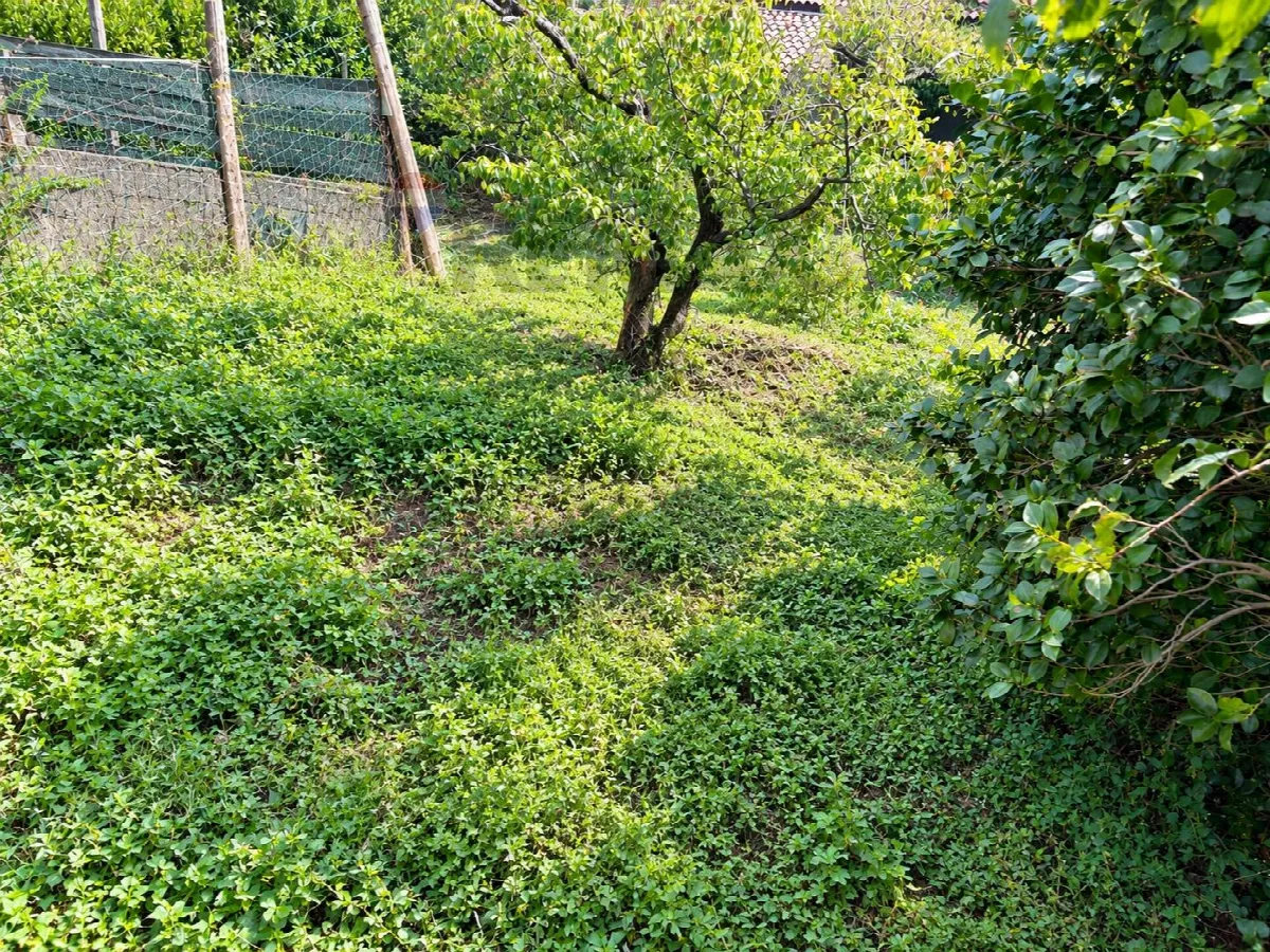 Casa Indipendente in vendita a Milo - foto 4