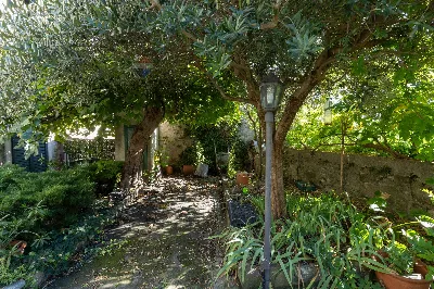 Villa in vendita a Trieste, Campanelle, Co... - foto 6