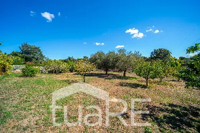 Villa in vendita a Roma, Olgiata, Giustini... - foto 10