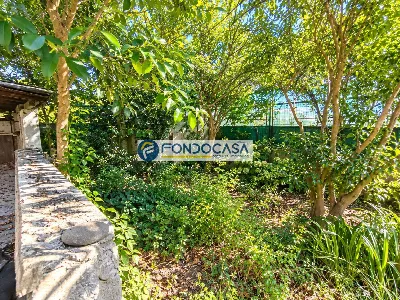 Villa in vendita a Viareggio - foto 4