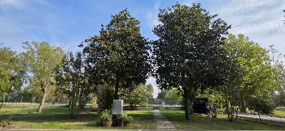 Villa in vendita a Baricella - foto 2