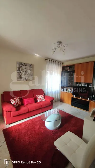 Casa Indipendente in vendita a Netro - foto 9