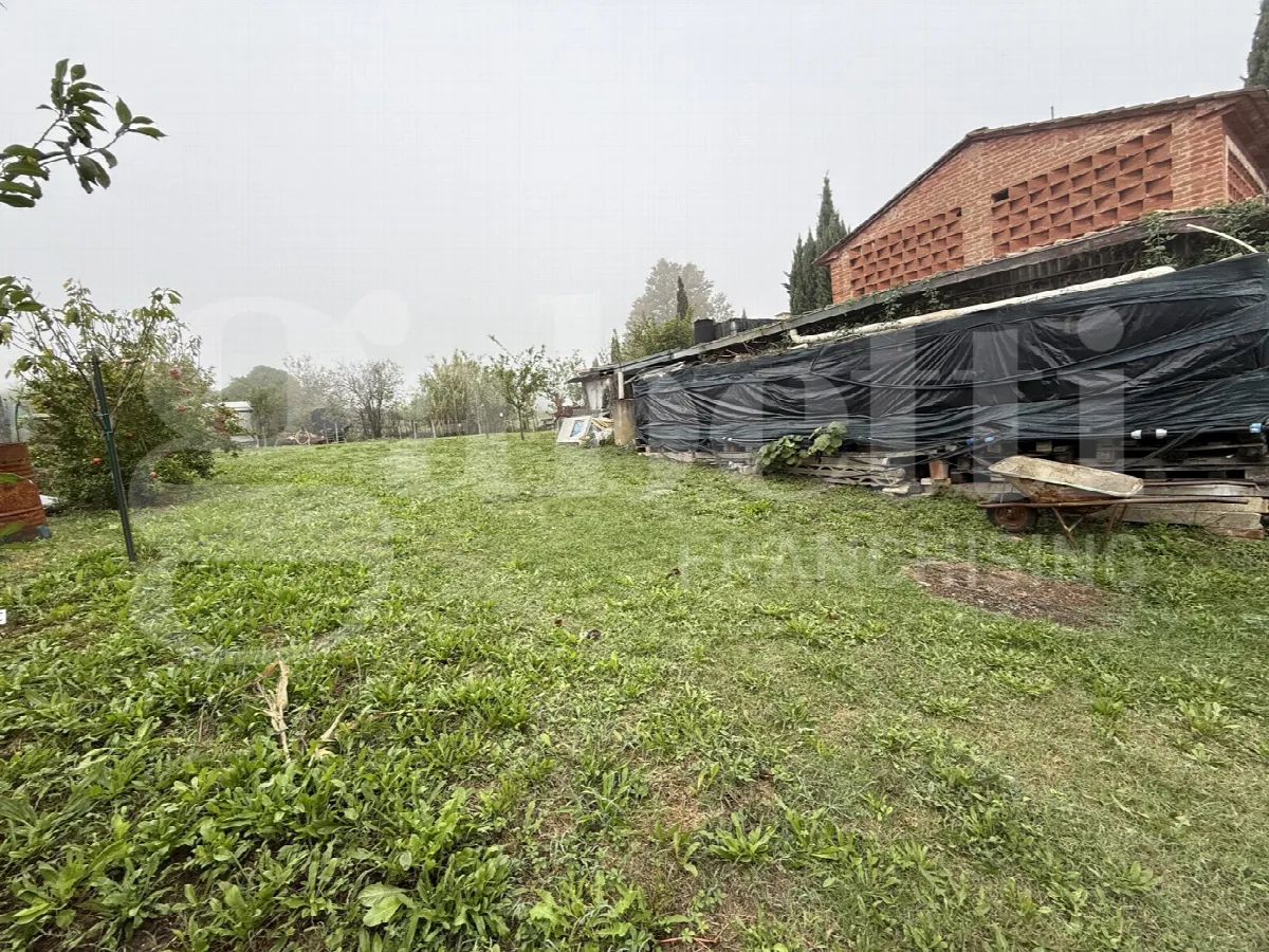 Rustico/Casale in vendita a Terricciola - foto 3