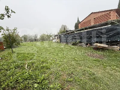 Rustico/Casale in vendita a Terricciola - foto 3