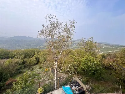 Casa Indipendente in vendita a Cocconato - foto 7