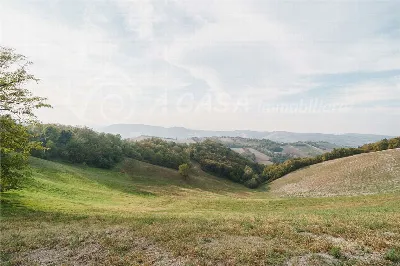 Rustico/Casale in vendita a Felino - foto 3