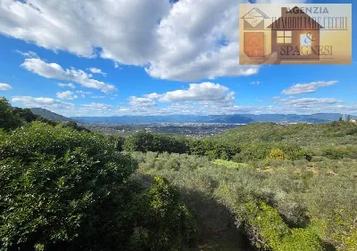 Rustico/Casale in vendita a Carmignano - foto 2