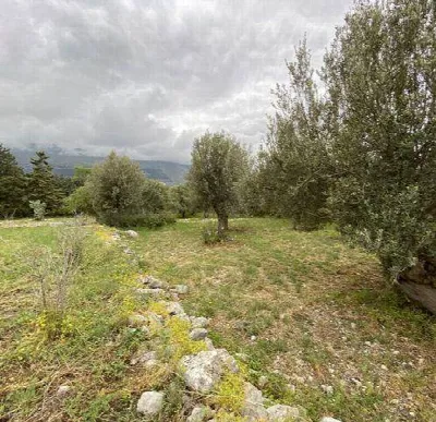 Rustico/Casale in vendita a Carini - foto 6