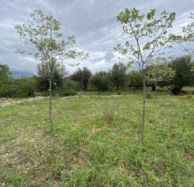 Rustico/Casale in vendita a Carini - foto 9
