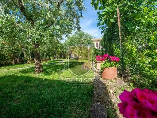 Villa in vendita a Murlo - foto 5